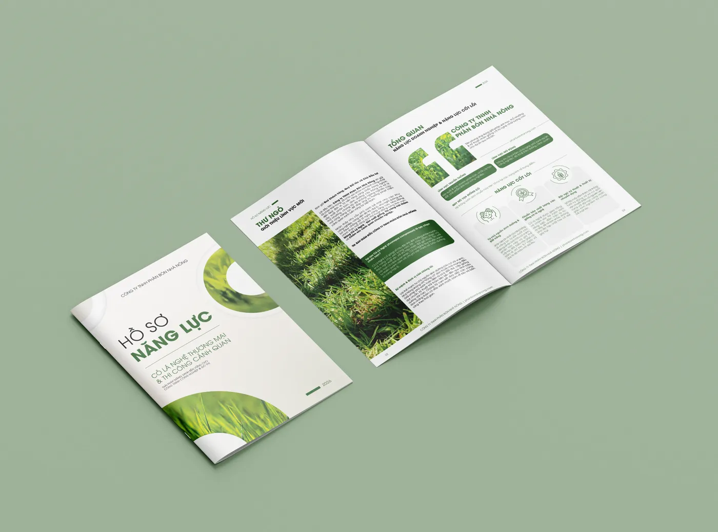 mẫu hồ sơ năng lực công ty cảnh quan cây xanh