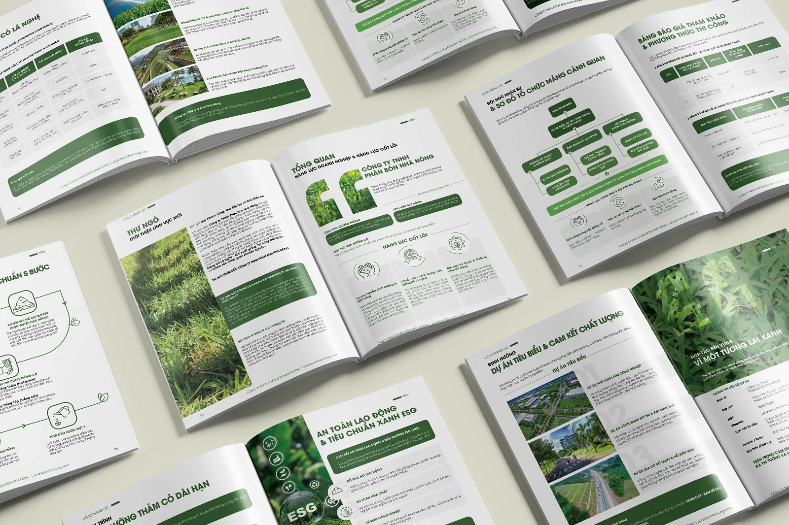 layout hồ sơ năng lực công ty cây xanh